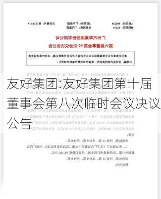 友好集团:友好集团第十届董事会第八次临时会议决议公告