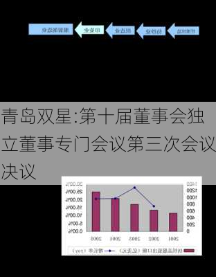 青岛双星:第十届董事会独立董事专门会议第三次会议决议