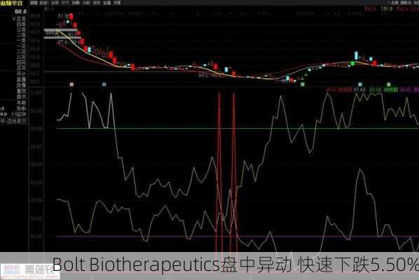 Bolt Biotherapeutics盘中异动 快速下跌5.50%