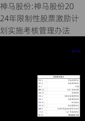 神马股份:神马股份2024年限制性股票激励计划实施考核管理办法