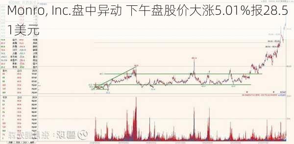 Monro, Inc.盘中异动 下午盘股价大涨5.01%报28.51美元