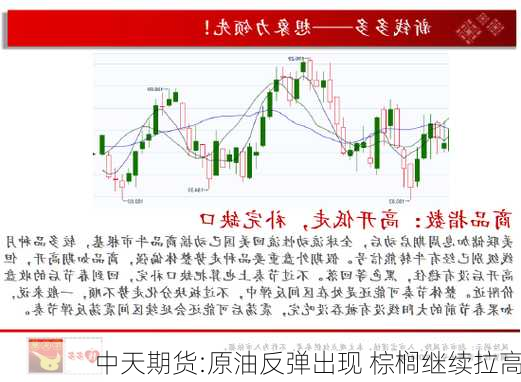 中天期货:原油反弹出现 棕榈继续拉高