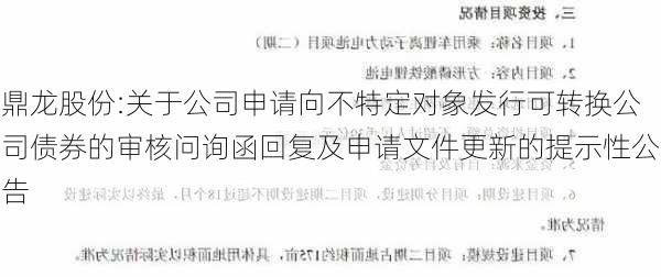 鼎龙股份:关于公司申请向不特定对象发行可转换公司债券的审核问询函回复及申请文件更新的提示性公告