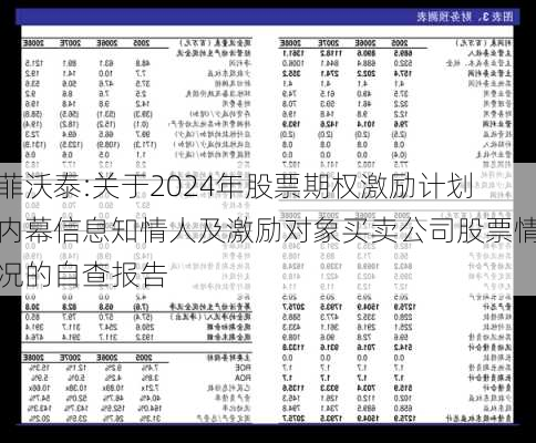 菲沃泰:关于2024年股票期权激励计划内幕信息知情人及激励对象买卖公司股票情况的自查报告