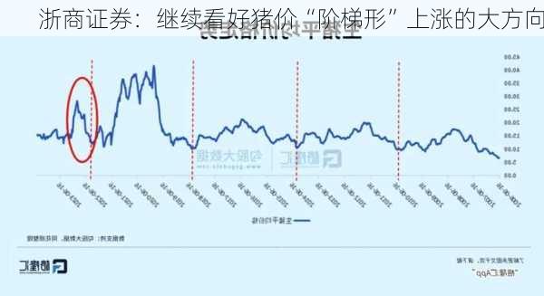 浙商证券：继续看好猪价“阶梯形”上涨的大方向