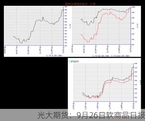 光大期货：9月26日软商品日报