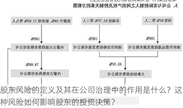 股东风险的定义及其在公司治理中的作用是什么？这种风险如何影响股东的投资决策？