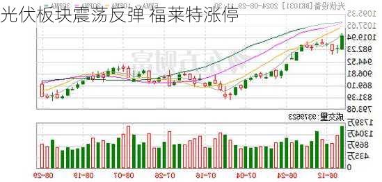 光伏板块震荡反弹 福莱特涨停