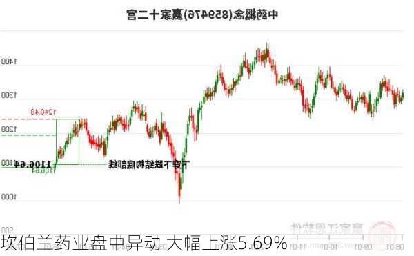 坎伯兰药业盘中异动 大幅上涨5.69%