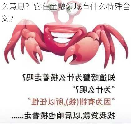 么意思？它在金融领域有什么特殊含义？