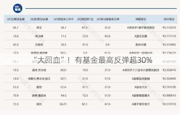 “大回血”！有基金最高反弹超30%