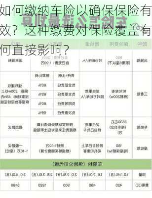 如何缴纳车险以确保保险有效？这种缴费对保险覆盖有何直接影响？