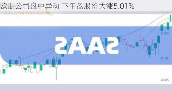 欧朋公司盘中异动 下午盘股价大涨5.01%