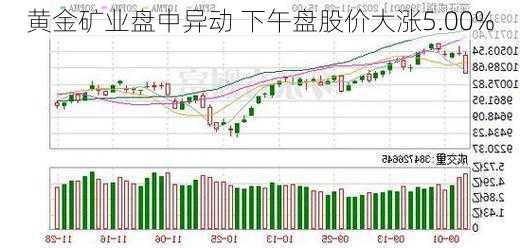 黄金矿业盘中异动 下午盘股价大涨5.00%