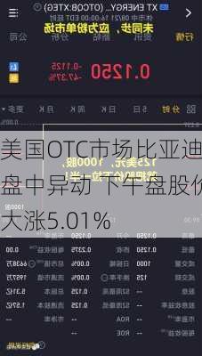 美国OTC市场比亚迪盘中异动 下午盘股价大涨5.01%