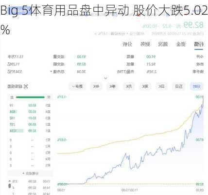 Big 5体育用品盘中异动 股价大跌5.02%