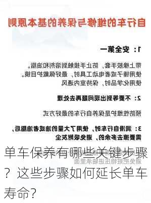 单车保养有哪些关键步骤？这些步骤如何延长单车寿命？