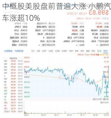 中概股美股盘前普遍大涨 小鹏汽车涨超10%