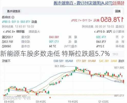 新能源车股多数走低 特斯拉跌超5.7%