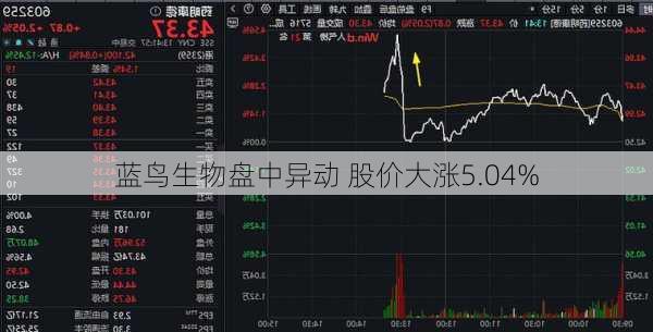 蓝鸟生物盘中异动 股价大涨5.04%