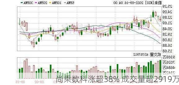 尚乘数科涨超38% 成交量超2919万