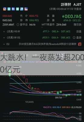 大跳水！一夜蒸发超2000亿元