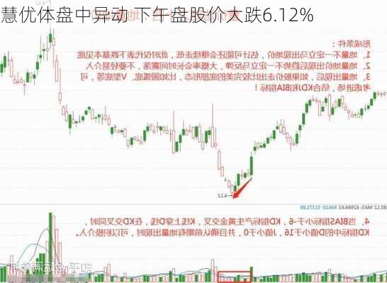 慧优体盘中异动 下午盘股价大跌6.12%