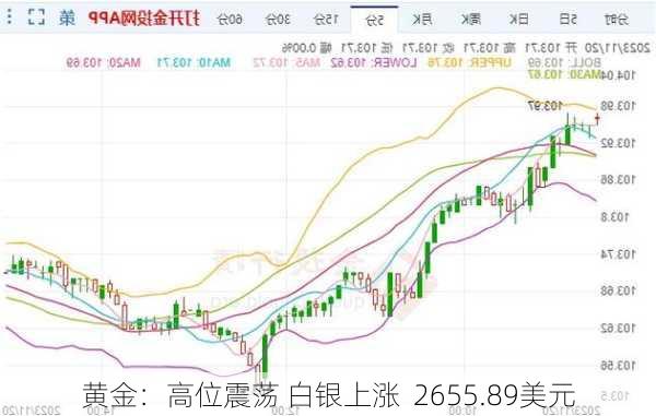 黄金：高位震荡 白银上涨  2655.89美元