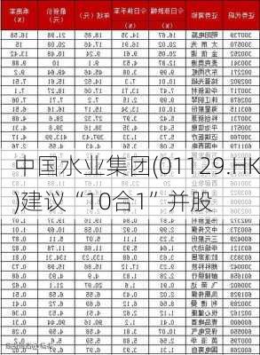 中国水业集团(01129.HK)建议“10合1”并股