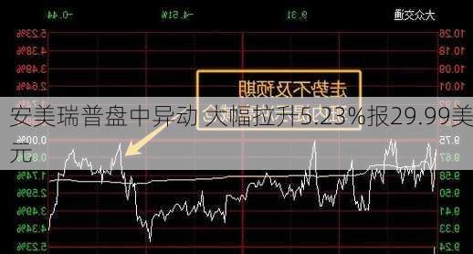 安美瑞普盘中异动 大幅拉升5.23%报29.99美元