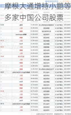 摩根大通增持小鹏等多家中国公司股票