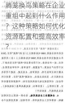 腾笼换鸟策略在企业重组中起到什么作用？这种策略如何优化资源配置和提高效率？