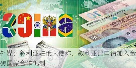 外媒：叙利亚驻俄大使称，叙利亚已申请加入金砖国家合作机制