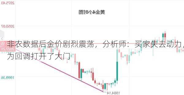 非农数据后金价剧烈震荡，分析师：买家失去动力，为回调打开了大门