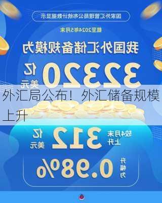 外汇局公布！外汇储备规模上升