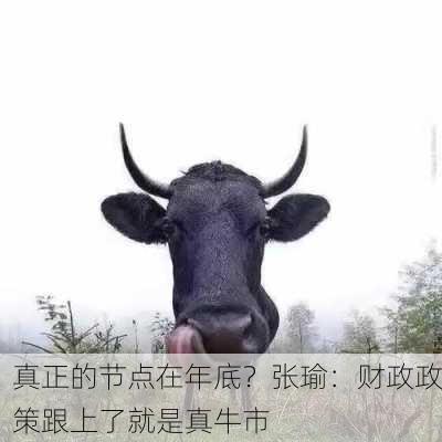 真正的节点在年底？张瑜：财政政策跟上了就是真牛市