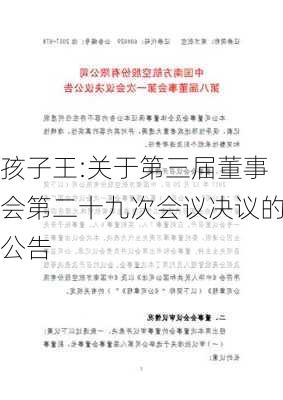 孩子王:关于第三届董事会第二十九次会议决议的公告