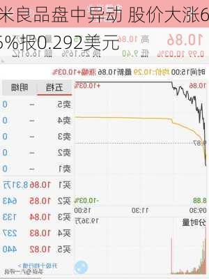 农米良品盘中异动 股价大涨6.25%报0.292美元