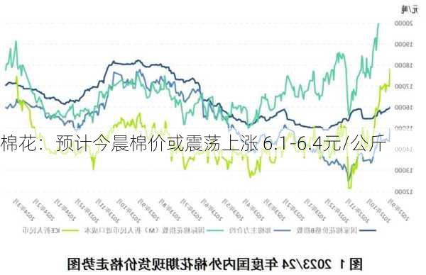 棉花：预计今晨棉价或震荡上涨 6.1-6.4元/公斤