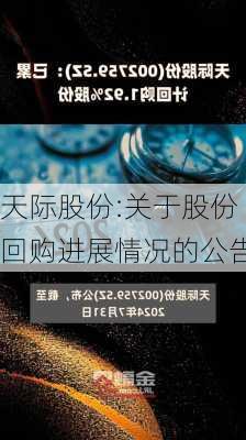 天际股份:关于股份回购进展情况的公告