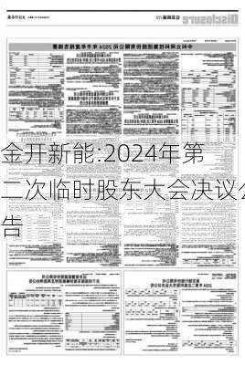 金开新能:2024年第二次临时股东大会决议公告