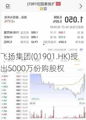 飞扬集团(01901.HK)授出5000万份购股权