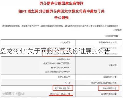 盘龙药业:关于回购公司股份进展的公告