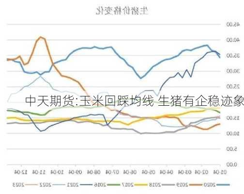 中天期货:玉米回踩均线 生猪有企稳迹象