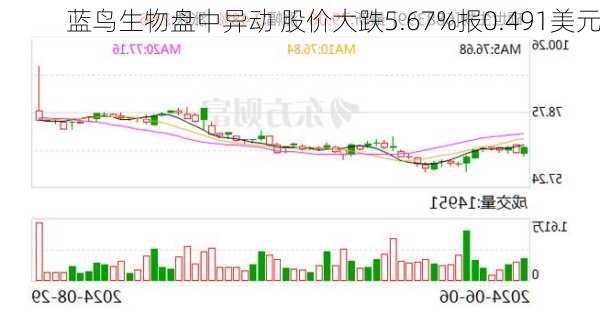 蓝鸟生物盘中异动 股价大跌5.67%报0.491美元