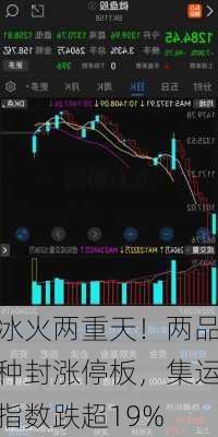 冰火两重天！两品种封涨停板，集运指数跌超19%