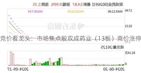 竞价看龙头：市场焦点股双成药业（13板）竞价涨停