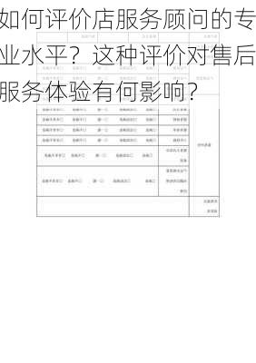 如何评价店服务顾问的专业水平？这种评价对售后服务体验有何影响？