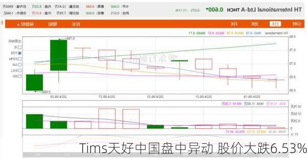 Tims天好中国盘中异动 股价大跌6.53%