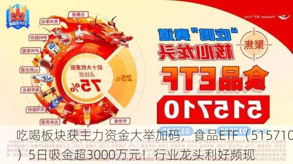 吃喝板块获主力资金大举加码，食品ETF（515710）5日吸金超3000万元！行业龙头利好频现